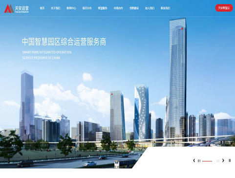 深圳天安智慧园区运营有限公司网站建设项目